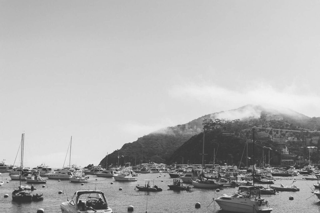 Catalinafog 1024x682